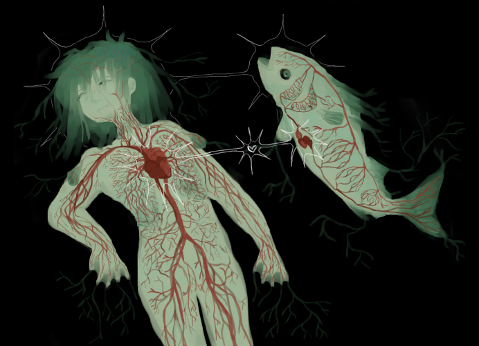 Fish Heart